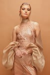 Pankaj & Nidhi_Gold Tulle, Silk Organza High Neck Araquis Galaxy Sheer Dress With Sleeves _Online_at_Aza_Fashions
