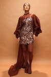 Buy_Pankaj & Nidhi_Brown Tulle, Crepe Applique, Sequins High Neck Araquis Cinnamon Haze Dress _at_Aza_Fashions