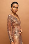 Pankaj & Nidhi_Brown Tulle Applique V-neck Araquis Aureum Embroidered Gown _Online_at_Aza_Fashions