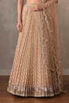 Shop_Onaya_Beige Organza Beads, Stones, Metallic Thread, Badla Moti Lehenga Set _Online_at_Aza_Fashions