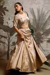 Parshya_Gold Silk, Chiffon Stones, Embroidery, Sequins, Fringe V-neck Hand Lehenga Set _Online_at_Aza_Fashions