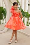 Buy_Janyas Closet_Orange Organza, Net, Silk Aria One-shoulder Floral Print Dress _at_Aza_Fashions