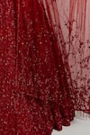 Ikshita Choudhary Red Net Embroidery, Sequins, Tassels, Beads Square Hand Bridal Lehenga Set at Aza Fashions Ikshita Choudhary_Red Net Embroidery, Sequins, Tassels, Beads Square Hand Bridal Lehenga Set _at_Aza_Fashions