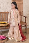 Shop_The Plum Bum_Beige Silk, Tissue, Net Gota Patti, Beads, Lace Floral Pattern Kurta Sharara Set _at_Aza_Fashions