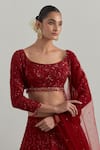 Shop Ikshita Choudhary Red Net Embroidery, Sequins, Tassels, Beads Square Hand Bridal Lehenga Set Online at Aza Fashions Shop_Ikshita Choudhary_Red Net Embroidery, Sequins, Tassels, Beads Square Hand Bridal Lehenga Set _Online_at_Aza_Fashions