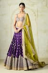 Buy_Gopi Vaid_Purple Tussar, Organza Embroidery, Zari, Tassels, Sehrish Floral Lehenga Set _at_Aza_Fashions