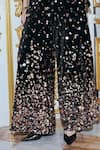 Buy_Dash And Dot_Black Velvet, Polyester Sequins, Beads Paillette Embroidered Pant 