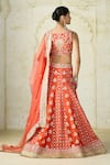 Gopi Vaid Orange Tussar, Organza Embroidery, Sequins, Zari, Tassels V-neck Lehenga Set Online Gopi Vaid_Orange Tussar, Organza Embroidery, Sequins, Zari, Tassels V-neck Lehenga Set _Online