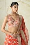 Buy Gopi Vaid Orange Tussar, Organza Embroidery, Sequins, Zari, Tassels V-neck Lehenga Set Online Buy_Gopi Vaid_Orange Tussar, Organza Embroidery, Sequins, Zari, Tassels V-neck Lehenga Set _Online