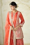 Shop_Gopi Vaid_Orange Tussar, Organza Embroidery, Zari V-neck Kurta Sharara And Dupatta 