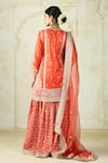 Gopi Vaid_Orange Tussar, Organza Embroidery, Zari V-neck Kurta Sharara And Dupatta _Online