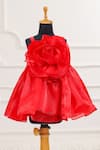 Casa Ninos_Red Organza Fabric Flowers Scarlet Rose Dress _Online_at_Aza_Fashions