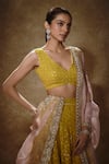 Renee label_Yellow Viscose Georgette, Organza Embroidery, Sequins, Antara Lehenga Set _Online_at_Aza_Fashions