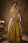 Buy_Renee label_Yellow Viscose Georgette, Organza Embroidery, Sequins, Antara Lehenga Set _at_Aza_Fashions