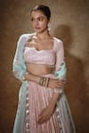 Renee label_Pink Viscose Georgette, Net Embroidery, Gul Lehenga Set With Blouse And Dupatta _Online_at_Aza_Fashions