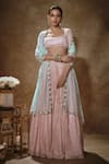 Buy_Renee label_Pink Viscose Georgette, Net Embroidery, Gul Lehenga Set With Blouse And Dupatta _at_Aza_Fashions
