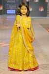 Buy_Yuvraani Jaipur_Yellow Silk, Net, Cotton Embroidery Lehenga Set _Online