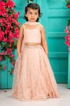 Buy_Shruti Jalan_Pink Net Embroidery, Sequins, Smocking Lehenga Set _at_Aza_Fashions