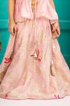 Shruti Jalan_Pink Organza, Chanderi Embroidery Bird Lehenga Set _Online_at_Aza_Fashions