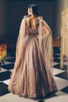 Shop_PRAVALIKA KOLA_Rose Gold Organza, Net Embroidery, Sequins, Beads Lucia Embellished Lehenga Set _at_Aza_Fashions