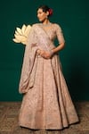 Niloufer By Aasif Ally_Pink Tissue Sequins, Mirrors, Cut Work Sweetheart Neck Embroidered Lehenga Set _at_Aza_Fashions