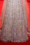 Shop_Itrh_Pink Organza, Velvet Sequins, Stones, Mirrors Mrigakshi Embellished Lehenga Set 
