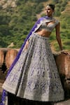 Shop_Anushree Reddy_Blue Organza Embroidery, Zari Sweetheart Neck Sapphire Lehenga Set _at_Aza_Fashions
