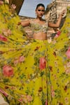 Buy_Anushree Reddy_Green Organza Applique Sweetheart Neck Janhvi Work Blouse And Skirt Set 