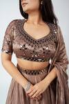 Essay By Sumedha Agrawal_Brown Tissue, Silk Mirrors Embellished Lehenga Set _Online_at_Aza_Fashions