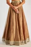 Buy_Essay By Sumedha Agrawal_Gold Tissue, Silk Mirrors Scoop Neck Embellished Lehenga Set _Online_at_Aza_Fashions