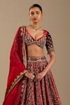 Cedar & Pine_Red Velvet, Tulle, Organza Sequins, Beads, Zari Verona Embroidered Lehenga Set _Online_at_Aza_Fashions