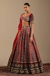Shop_Cedar & Pine_Red Velvet, Tulle, Organza Sequins, Beads, Zari Verona Embroidered Lehenga Set _Online_at_Aza_Fashions