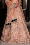 Buy_Nikunj By NIIDHI BAJAJ_Gold Net Embroidery, Sequins, Beads, Zari Sweetheart Neck Rani Lehenga Set 
