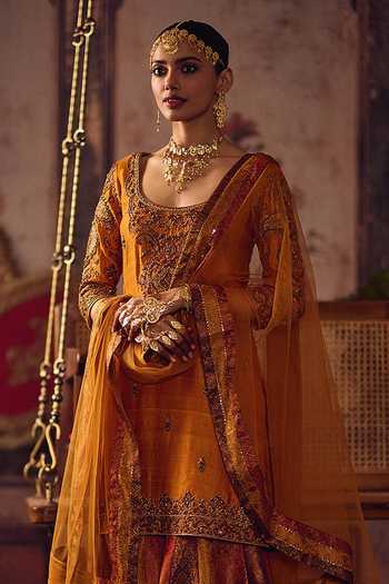 Reeti Arneja_Orange Organza Zari Kesari Tri-border Dupatta _Online_at_Aza_Fashions