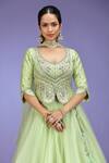Jhambthreads_Green Silk, Organza Embroidery, Stones, Tassels V-neck Blouse And Lehenga Set _at_Aza_Fashions