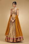 Jhambthreads_Mustard Silk, Georgette, Crepe Embroidery, Sequins, Beads, Blouse And Lehenga Set _Online_at_Aza_Fashions