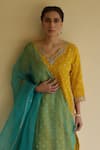 Buy_Apeksha Jain Label_Yellow Organza, Crepe, Chiffon Gota Patti V-neck Mayuri Bandhej Kurta Pant Set 