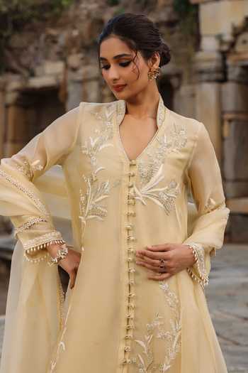 Buy_Label Niti Bothra_Beige Silk, Organza, Tencel Embroidery, Pearls V-neck Resham Kurta And Pant Set 