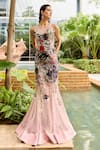 Buy_Sahil Kochhar_Pink Silk, Net Embroidery, Sequins, Mirrors, Applique Round Dravin Work Gown _at_Aza_Fashions