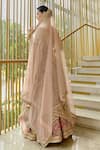 Shop_Sahil Kochhar_Pink Silk, Dupion Embroidery, Applique Ridhav Lehenga Set _at_Aza_Fashions