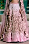 Shop_Sahil Kochhar_Pink Silk, Net Applique V-neck Darshna Soft Lehenga Set _Online_at_Aza_Fashions