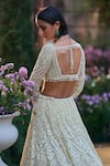 Seema Gujral_Green Net Embroidery, Sequins, Beads, Stones, Tassels Geometric Lehenga Set _Online_at_Aza_Fashions