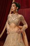 Roqa_Gold Net Embroidery, Sequins V-neck Ivy Lehenga Set _Online_at_Aza_Fashions