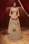 Buy_Roqa_Rose Gold Net Embroidery, Sequins, Beads, Zari, Stones, Eliza Lehenga Set _at_Aza_Fashions