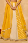 Chamee & Palak_Yellow Silk, Organza, Tissue Sequins, Beads Bhumi Woven Jamewar Lehenga Set _Online