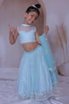 Buy_Little Loom_Blue Net Pearls, Stones And Embroidered Lehenga Set _at_Aza_Fashions