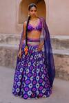 Shop_Drishti & Zahabia_Purple Silk, Dupion Sequins, Zari, Mirrors, Aarya Zardozi Ikat Print Lehenga Set _at_Aza_Fashions