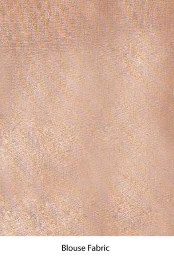 Shop_Vishwa By Pinki Sinha_Brown Tissue Zari Woven Saree With Running Blouse _Online_at_Aza_Fashions