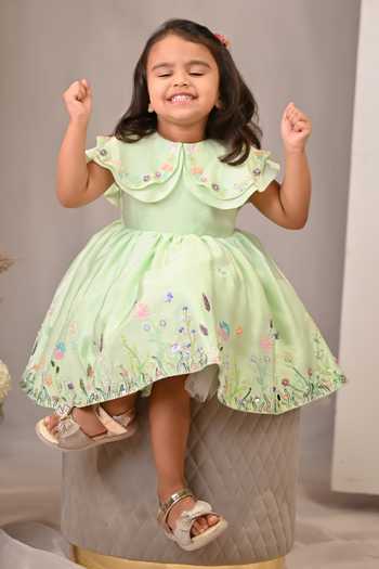 Buy_arani label_Green Organza, Viscose, Satin Gardenia Embroidered Dress _at_Aza_Fashions