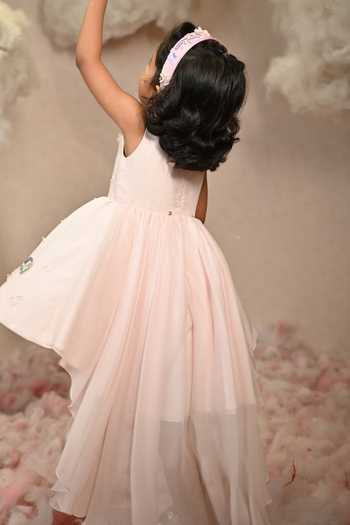 Shop_arani label_Pink Organza, Viscose Love Story Embroidered Dress _at_Aza_Fashions
